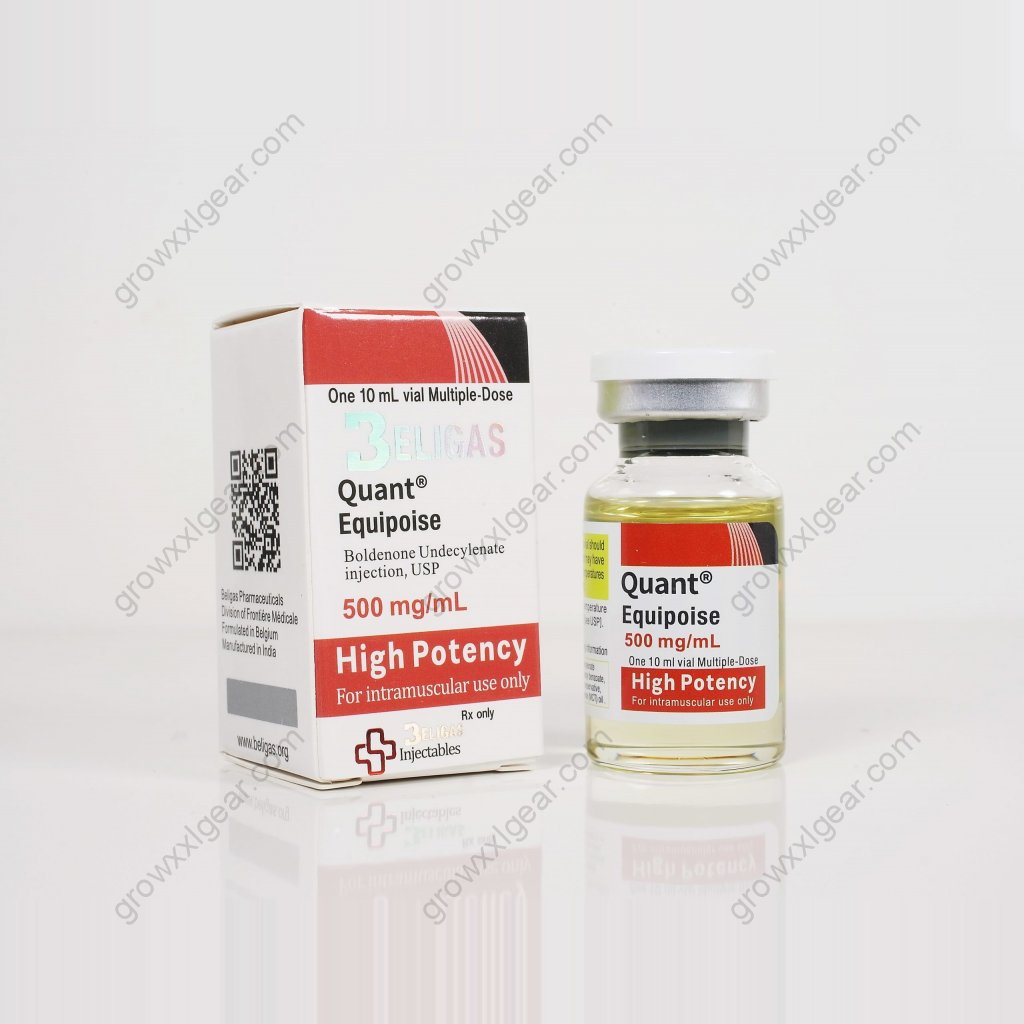 Quant-Equipoise 500 Quant-Equipoise 500