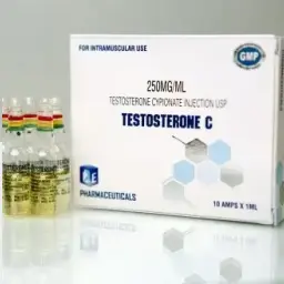 Testosterone C