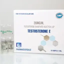 Testosterone E