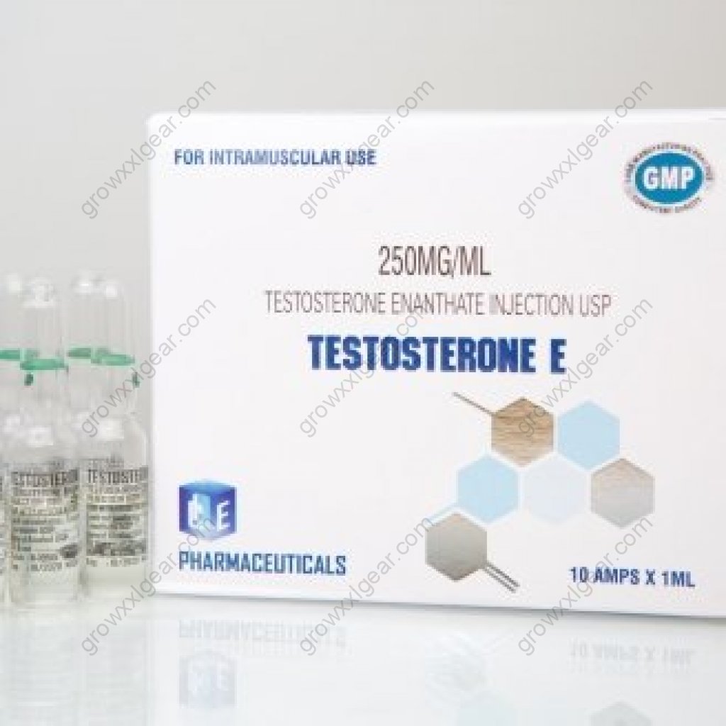 Тестостерон энантат для мужчин. Тестостерон 250 мг мл 1 мл. Testosterone Enanthate 10ml тестостерон. Энантат Ice Pharmaceuticals. Testosterona e 250mg/ml.